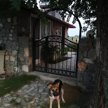 Dalaman Karia Thermal Homes 乡村民宿 *