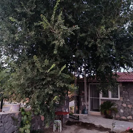 乡村民宿 Dalaman Karia Thermal Homes